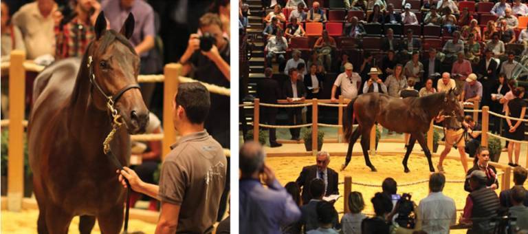 Yearling Sale