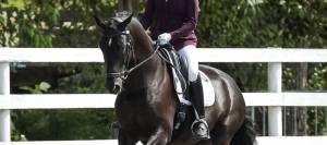 Dressage rider Ashley Moore and Bravour riding a dressage test