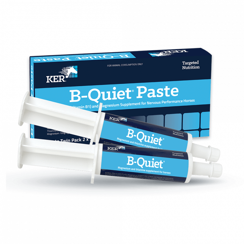 B-Quiet Paste Product Image