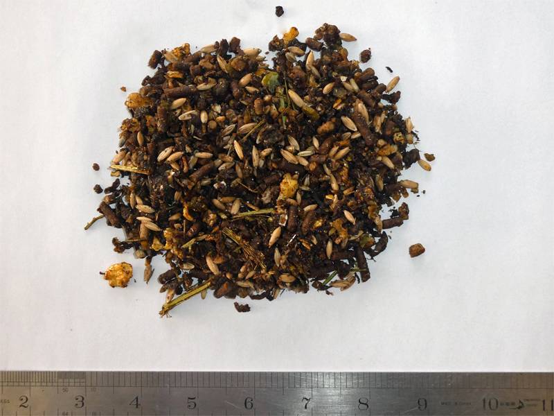 Bluegrass Prime Condition feed sample