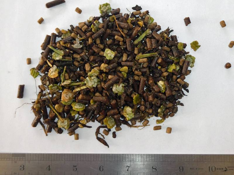 Bluegrass RE-LEVE feed sample