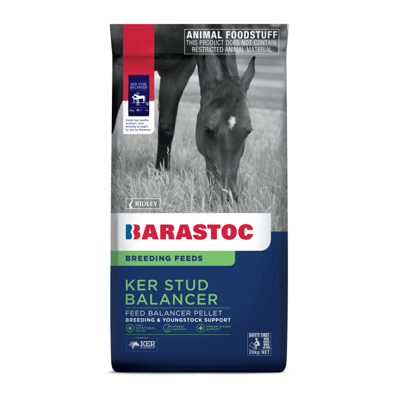 Barastoc Stud Balancer feed bag