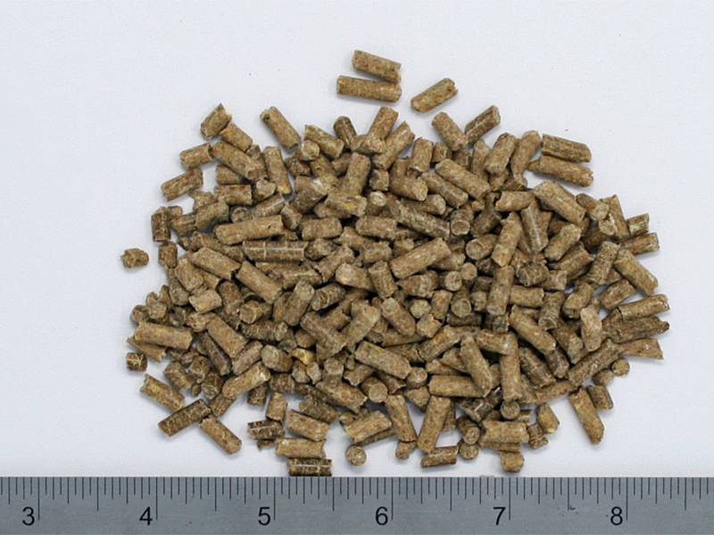 Brandt's Equine Geriatric feed sample