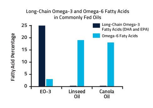 Chart shpowing Long-Chain Omega-3 and Omega-6 Fatty Acids in Commonly Fed Oils