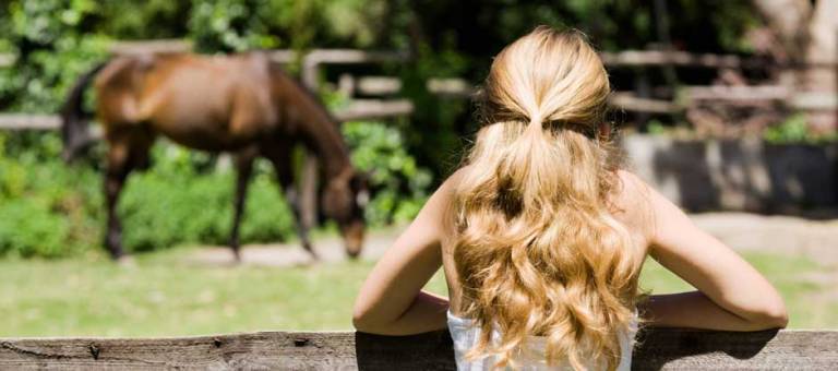 Girl looking over fence at horse grazing