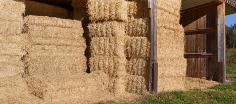 Hay stacked in storage barn