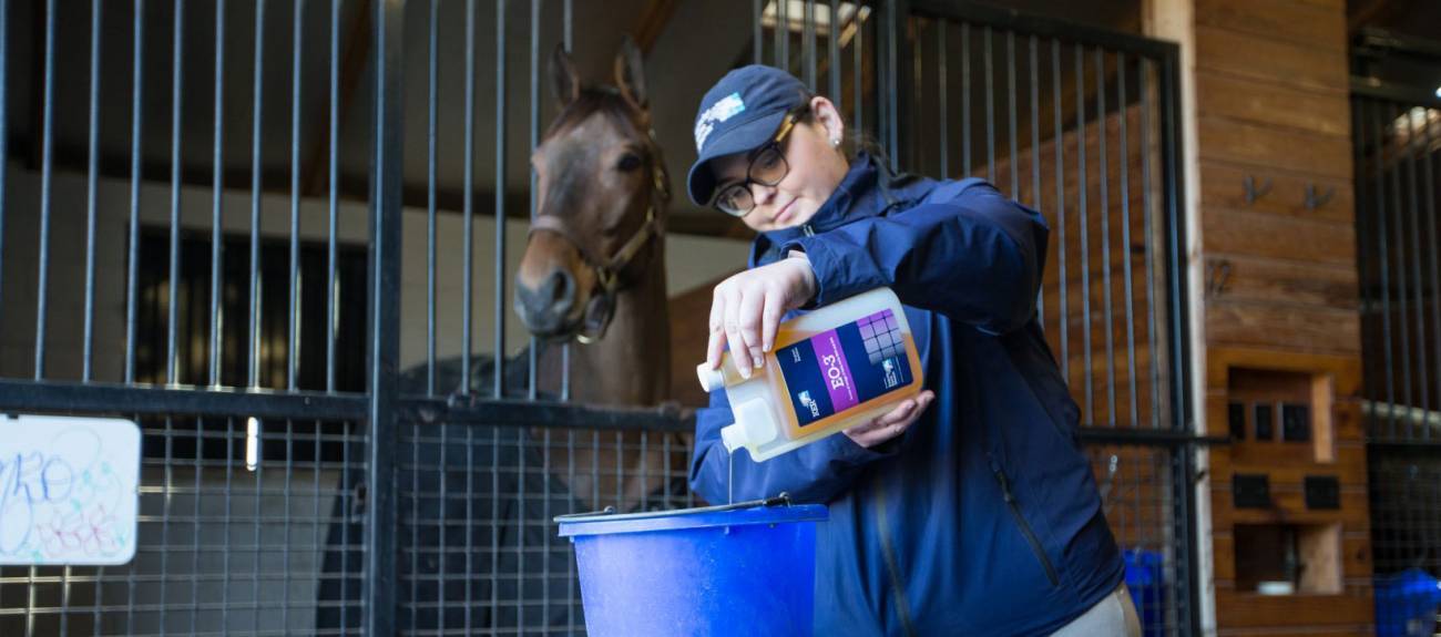 Intern measuring EO-3 liquid supplement into a blue feed bucket while horse watches from his stall.