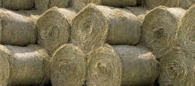 Stacked roll bales