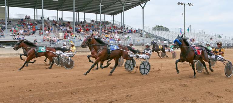 Photo of Standardbred racehorses trotting in front of the racetrack stands.