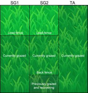 This diagram shows the configuration of each type of paddock in the study. The two strip-grazed paddocks are labeled SG1 and SG2, and the total-access paddock is labeled TA. The paddock layout was adapted from Longland et al. (2021). 