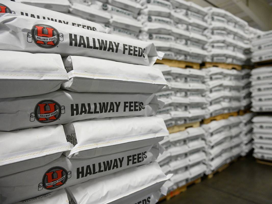 Bags of feed stacked at Hallway Feeds
