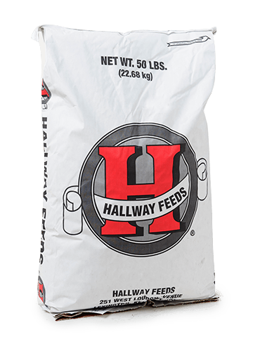 Hallway Feed bag