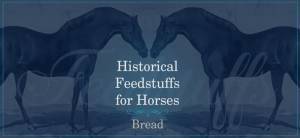 Graphic with antique horse drawing and "Historical Feedstuffs for Horses"