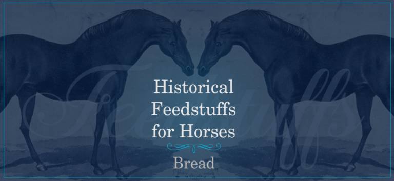 Graphic with antique horse drawing and "Historical Feedstuffs for Horses"