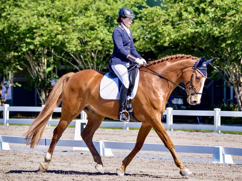 Horse and rider completing a dressage test at a show.