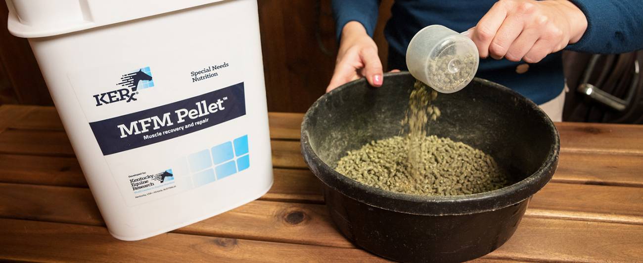 MFM Pellet for Warmblood horses with tying-up
