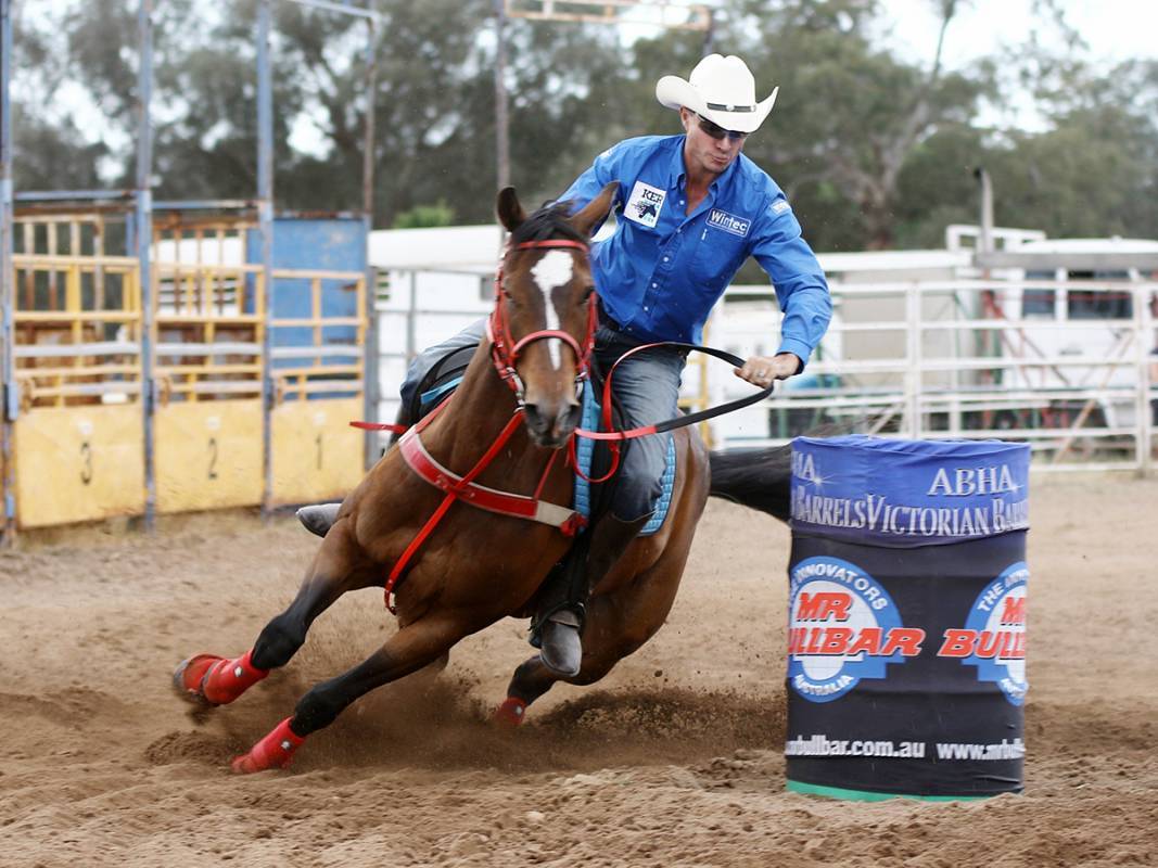 Matt Burns Sporting Horse Australia