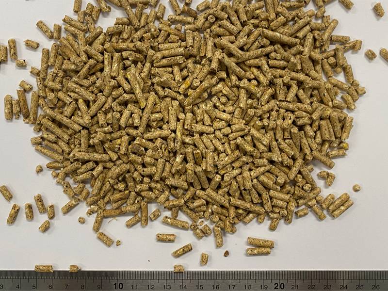 Close up of Milne Horse Grower Pellets