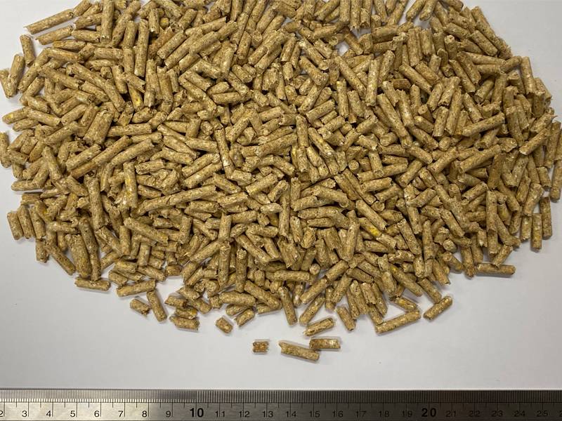 Close up of Milne Performance Horse Pellets