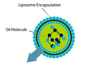 Graphic showing the liposome encapsulation on Nano-E