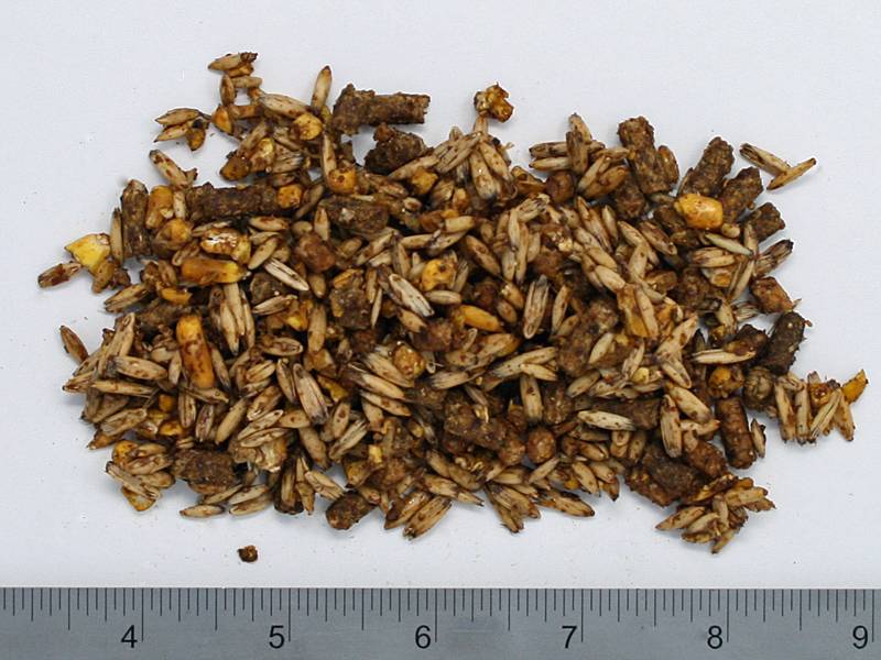 OBC Gest-O-Lac feed sample
