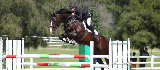 Chadd Donovan jumping during competition