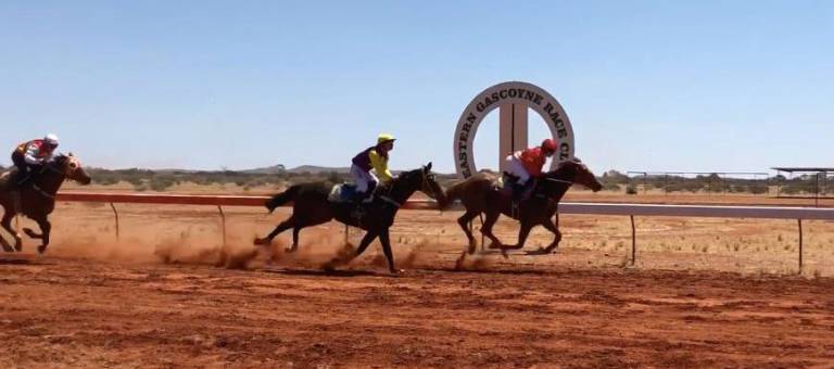 Horses crossing the finish line at Landor races