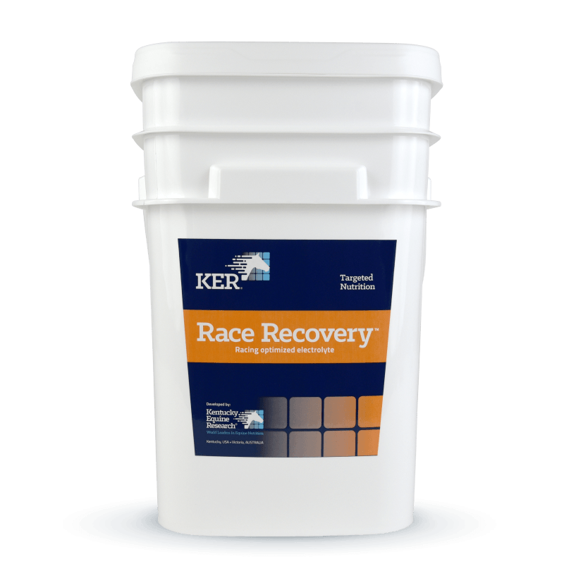 Race Recovery electrolyte for racehorses