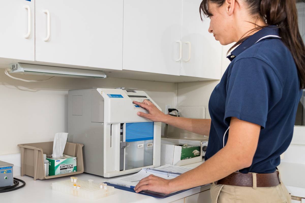 Woman working in laboratory