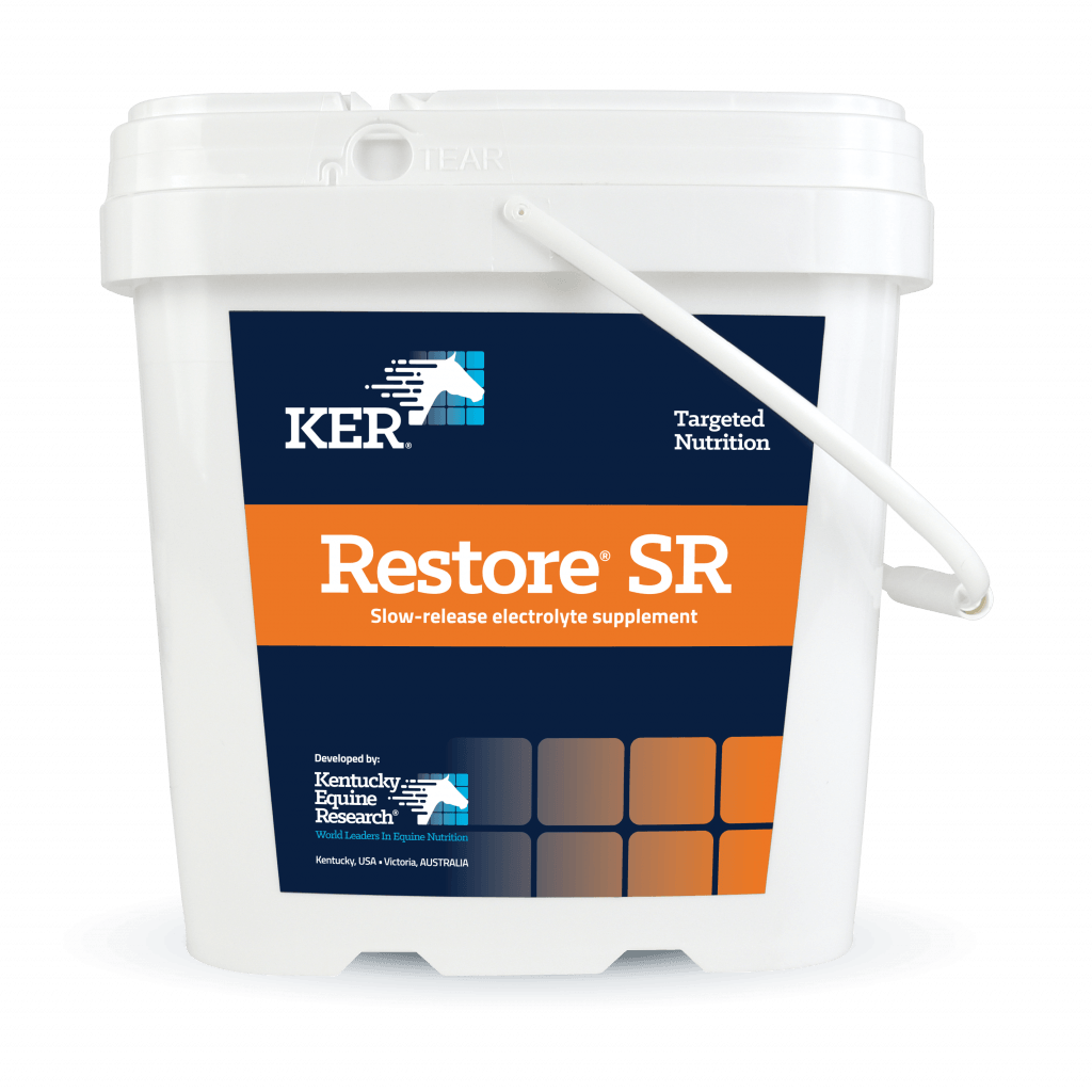 Restore SR Product Image