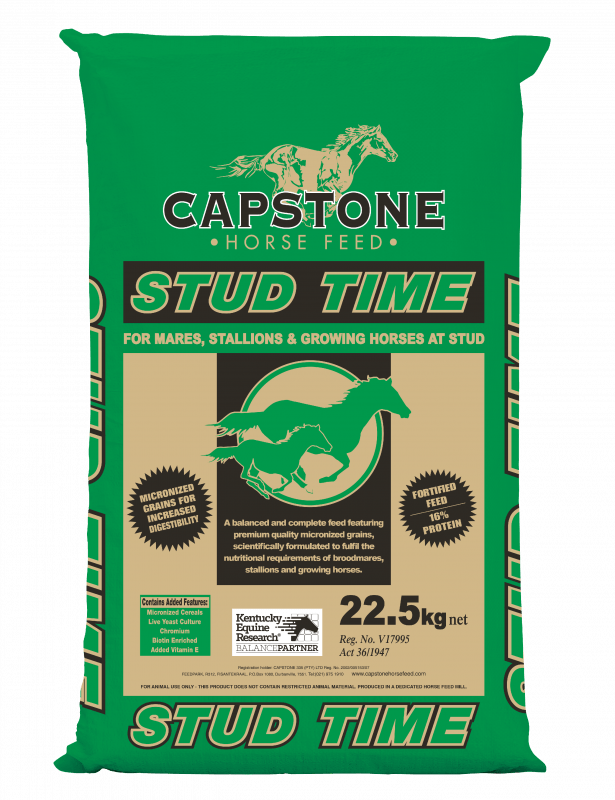 Capstone Horse Feed Stud Time Bag