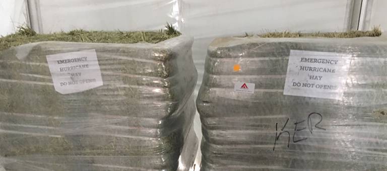 Emergency hay supplies for WEG 2018