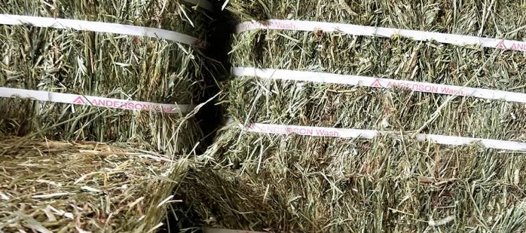 Compressed Bales of Hay