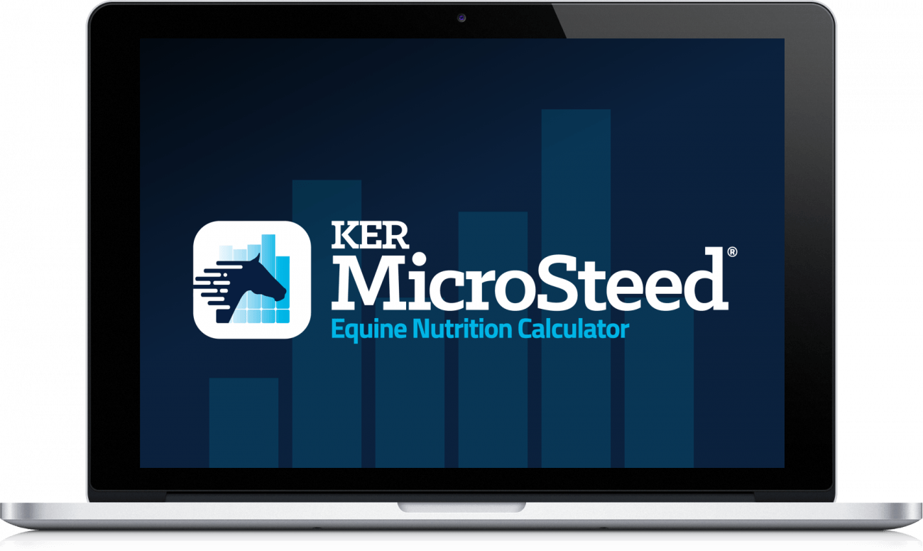 KER MicroSteed software