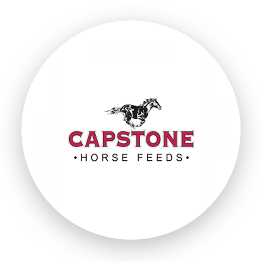 Capstone Horse Feeds Logo